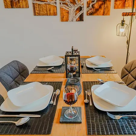 Apartment Dessaus Motto Appartements! Solo - Paerchen - Familien - Gruppen Dessau-Rosslau